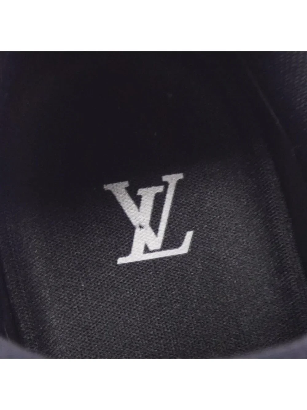 Louis Vuitton brand louis